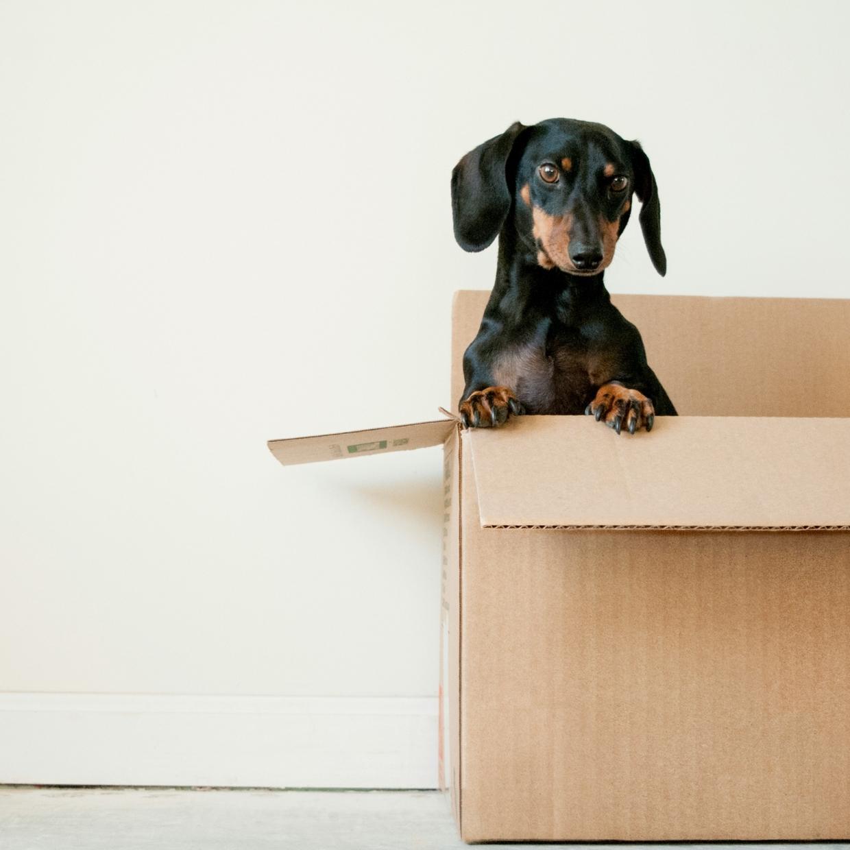 Packing