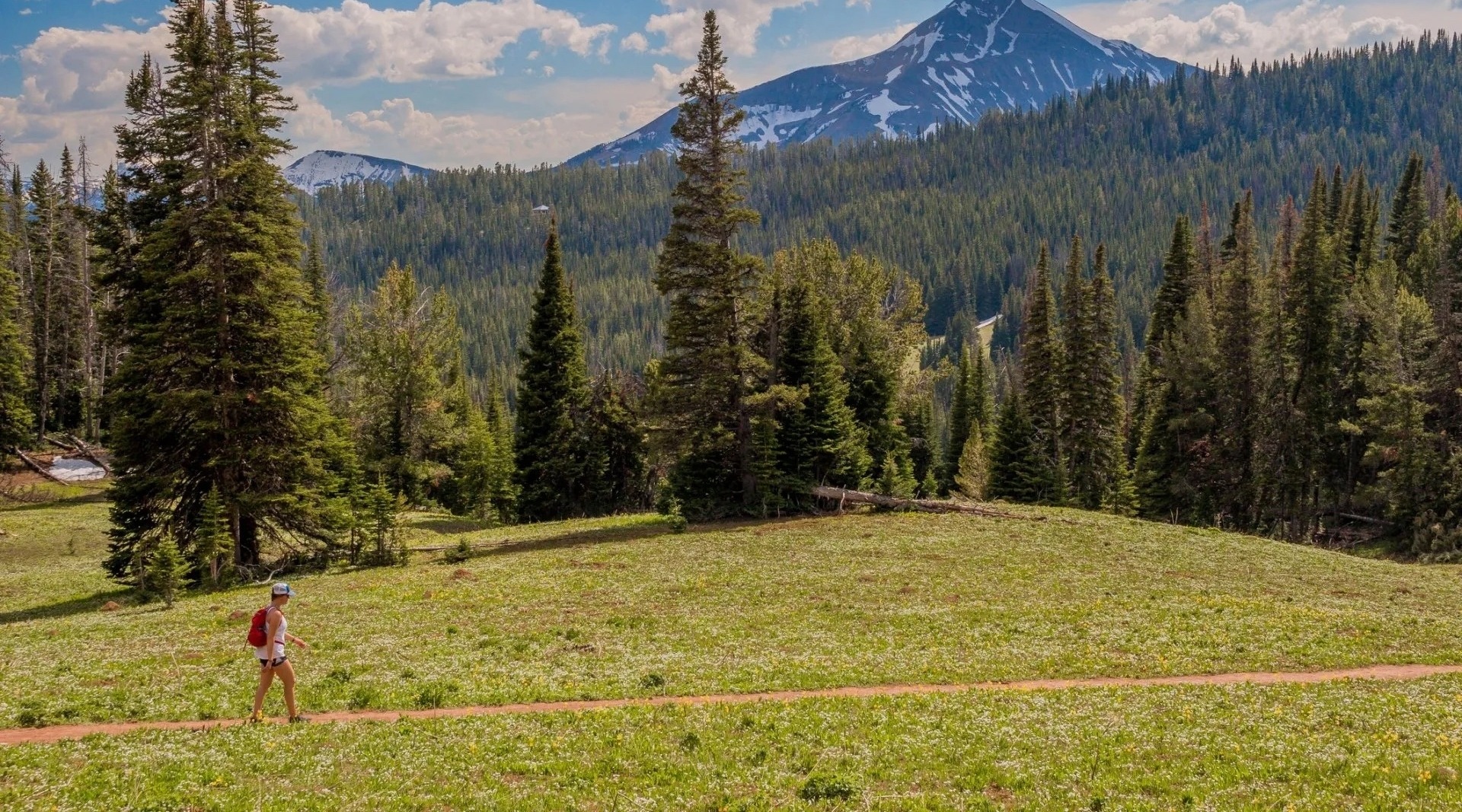 Montana Mountains